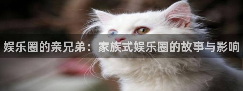 wg电子平台：娱乐圈的亲兄弟：家族式娱乐圈的故事与影响