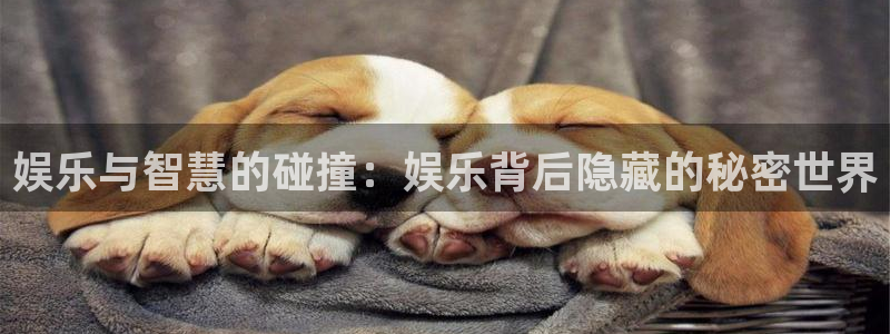 wg电子平台：娱乐与智慧的碰撞：娱乐背后隐藏的秘密世界