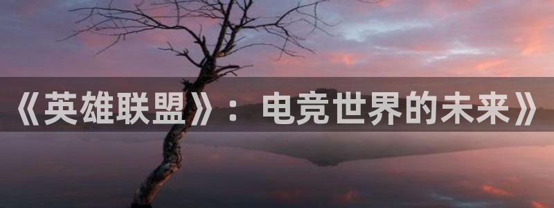 wg电子：《英雄联盟》：电竞世界的未来》