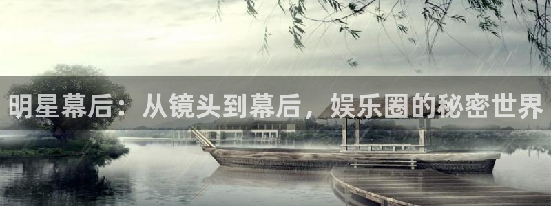 wg电子：明星幕后：从镜头到幕后，娱乐圈的秘密世界