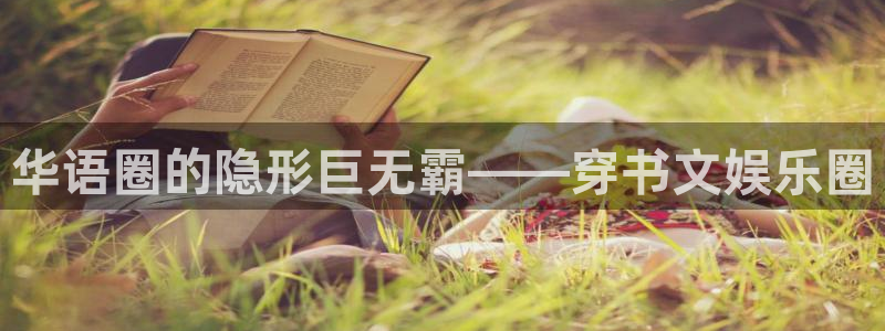 wg电子：华语圈的隐形巨无霸——穿书文娱乐圈